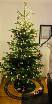 Andrea Harmening hat ihren Baum mit klassischem Rot geschmückt.